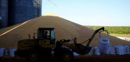 Rabobank reduz projeção para safra de milho 2020/21 a 89,5 milhões de t