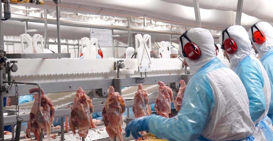 Carne de Frango: Preços sobem em junho com demanda mais aquecida
