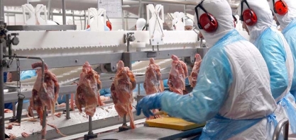 Carne de Frango: Preços sobem em junho com demanda mais aquecida