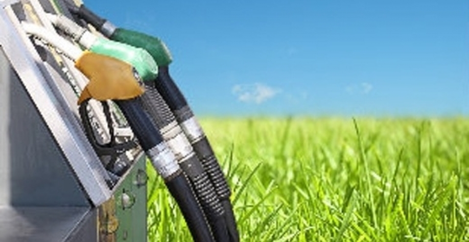 Etanol ganha espaço no 2º país mais populoso do mundo