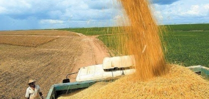 Conab reduz estimativa de colheita de grãos para 262,12 milhões de t