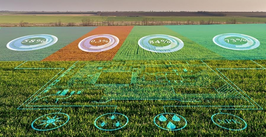 Agricultura digital: Transparência e dados para ampliar investimentos