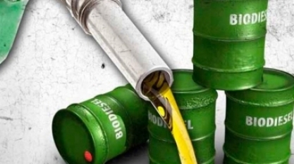 Leilão 80 de biodiesel tem maior volume e queda de preço, diz Abiove 