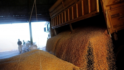 Conab reduz estimativa de safra de milho e vê mais importações