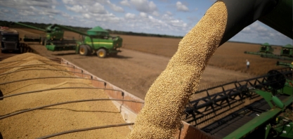 Anec eleva previsão de exportação de soja, mas ainda vê queda em junho