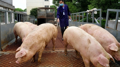 'Não entrem em pânico',diz governo chinês a produtores após queda de preços