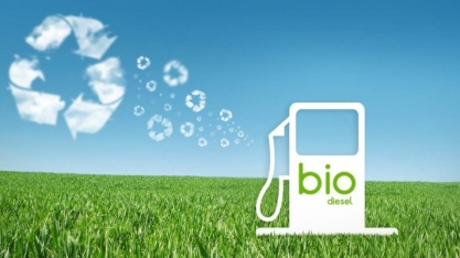 Decreto altera referencial para selo social de biodiesel