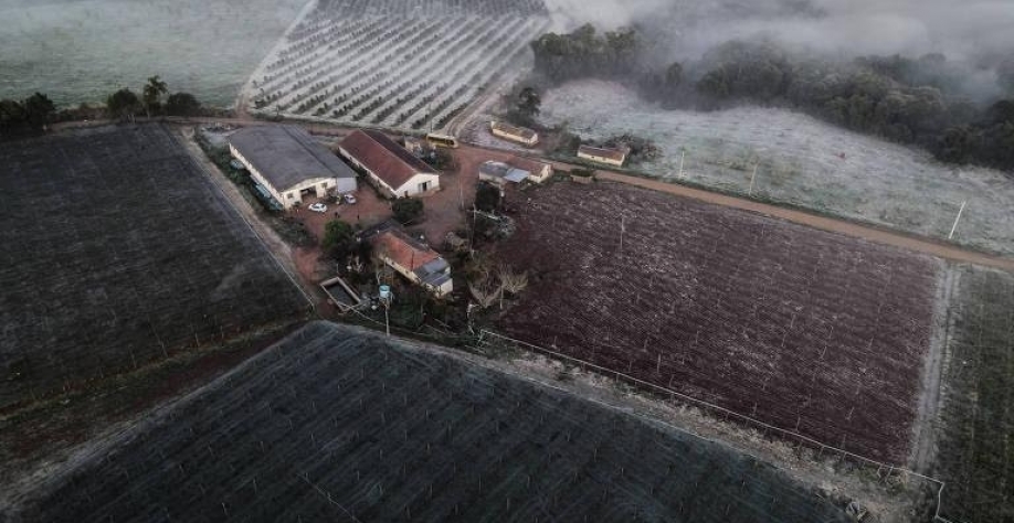 Com geada, preços retomam tendência de alta no campo