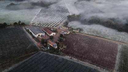 Com geada, preços retomam tendência de alta no campo