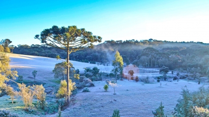 Geada extrema: saiba quais serão os impactos na produção de alimentos