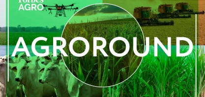 Wilson Sons exportará trigo em contêineres a partir do porto de Rio Grande