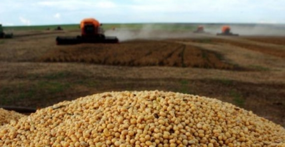 Exportações do agro sobem 20,9% no 1º semestre 21 ante 1º semestre 2020