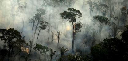 Estados da Amazônia Legal negociam investimentos contra desmatamento