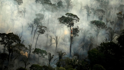 Estados da Amazônia Legal negociam investimentos contra desmatamento