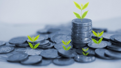 Vitreo Agro capta R$ 60 milhões na primeira semana de operação