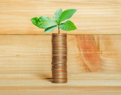 Bancos centrais e fundos soberanos estão se tornando verdes e ativistas