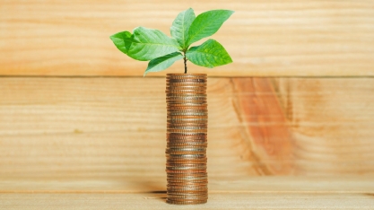 Bancos centrais e fundos soberanos estão se tornando verdes e ativistas