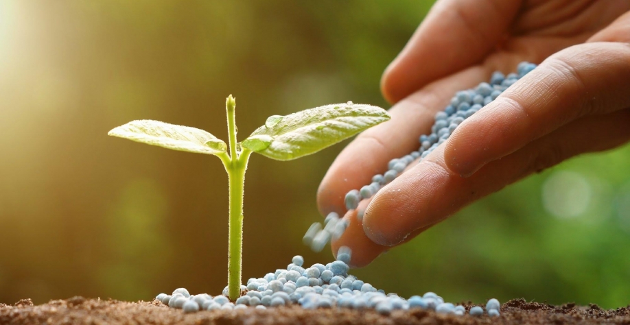 Canadense de fertilizantes Nutrien anuncia acordo de compra da Terra Nova