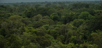 Executivo brasileiro é menos otimista com agenda ESG do que estrangeiros