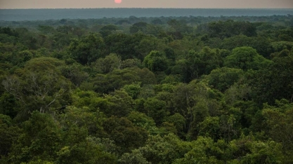 Executivo brasileiro é menos otimista com agenda ESG do que estrangeiros