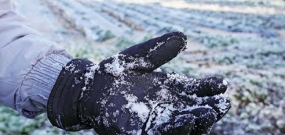 Efeito da geada não termina em 2021