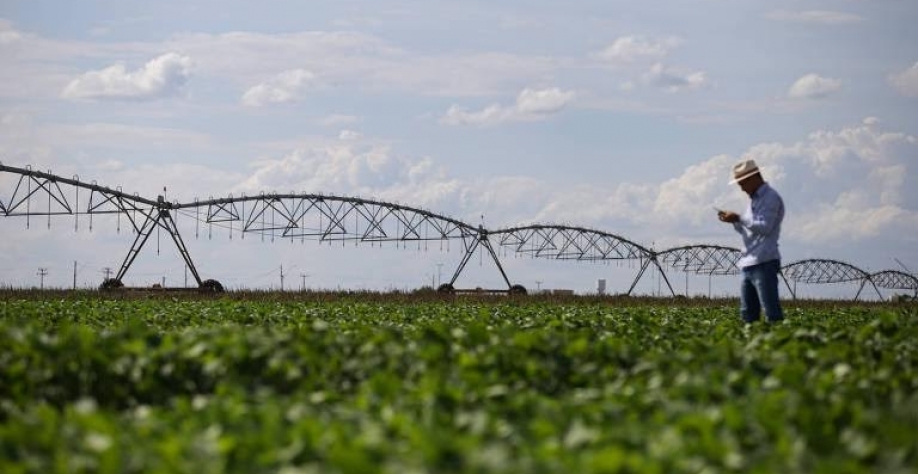 Agricultor na era digital requer atualização constante