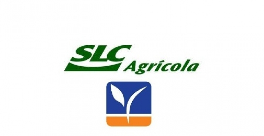 SLC e Terra Santa avançam em acordo de fusão