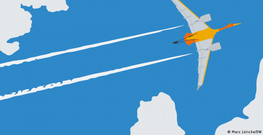 Entenda o inequívoco papel humano na mudança climática