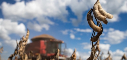 Safra americana e dólar alavancam preço da soja no Brasil