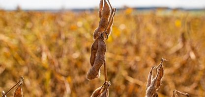 Basf cria plataforma com tecnologia de proteção de lavouras