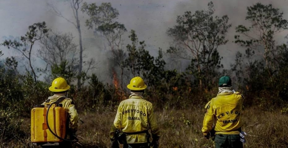 Pagamento de multa ambiental cai 93% no governo Bolsonaro