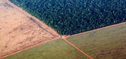 Soja:Aumenta em 22% área na Amazônia em desacordo com moratória em 2019/20