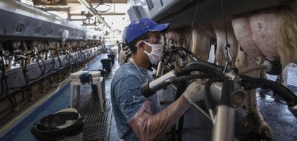 Inflação dos alimentos volta, agora com o leite