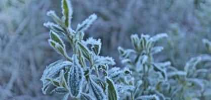 Os sinais que unem frio recorde no Brasil a enchentes e calor pelo mundo