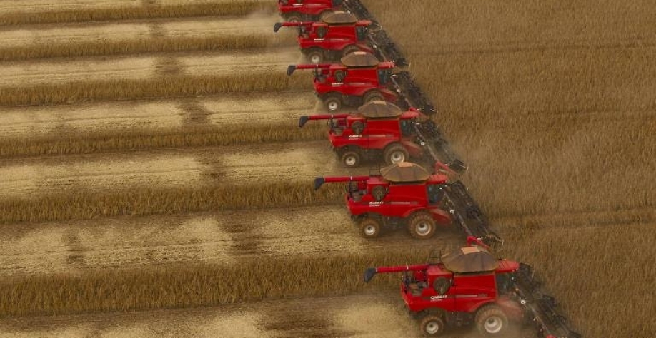 Produtividade vai responder por 87% da alta da oferta de alimentos até 2030     