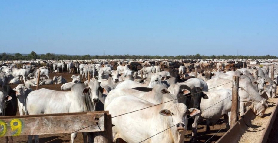 Arrendamento de terras acompanha tendência e vê alta de valores