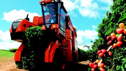Com volume, qualidade e exportação, café tem ano para ficar na história