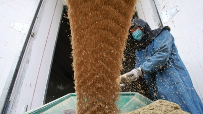 China amplia capacidade de armazenagem de grãos em 10,85 mi de toneladas