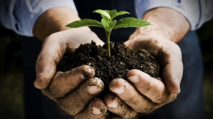 Agricultura já tem 50 especificações para registro de defensivos biológicos