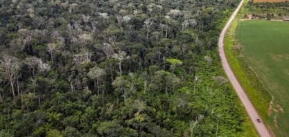 Amazônia: 2,5 bi de árvores e cipós morreram em seca e incêndios de 2015
