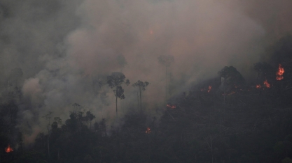 AM: Governo amplia uso das Forças Armadas contra crimes ambientais