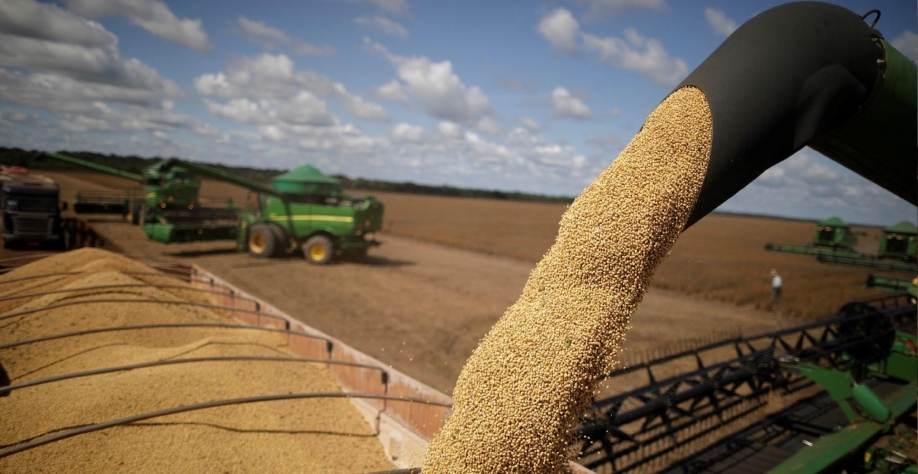 China: Apetite por soja será menor porque demanda por farelo está em baixa 