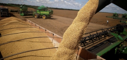 China: Apetite por soja será menor porque demanda por farelo está em baixa 