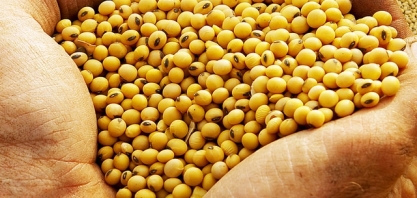 Receita cambial do agro cresce 25% em junho, para US$ 12,1 bilhões