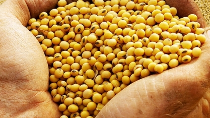 Receita cambial do agro cresce 25% em junho, para US$ 12,1 bilhões