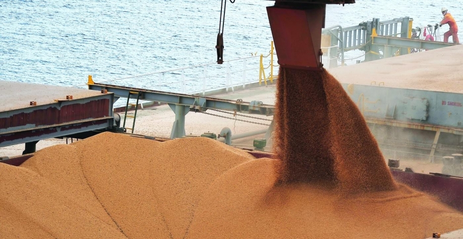 Pelo menos 33% da soja exportada já sai pelos portos do arco norte