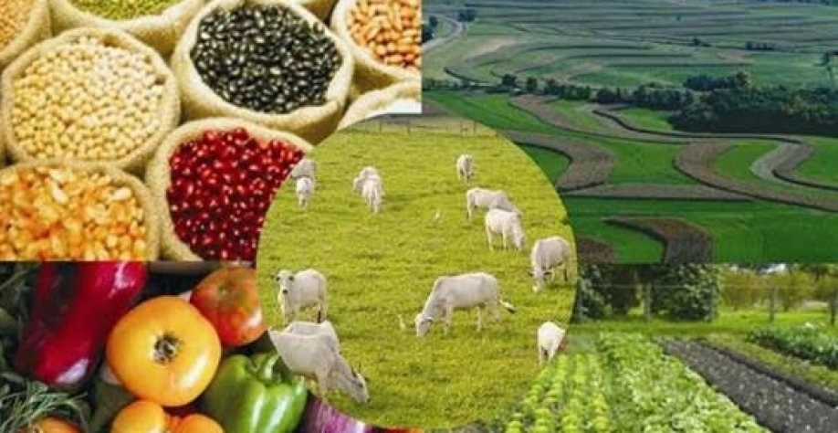 Valor da Produção Agropecuária deve crescer 10,5% em 2021,para R$ 1,009 tri