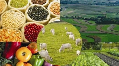 Valor da Produção Agropecuária deve crescer 10,5% em 2021,para R$ 1,009 tri