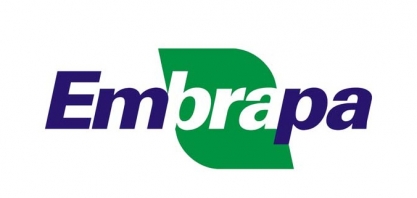 Terra indígena no Acre tem potencial para gerar créditos de carbono