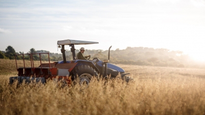 Só o agro salva – Por Lygia Pimentel